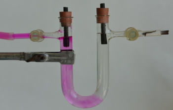 Obr. 1 Důkaz vzniklých produktů po proběhnutí elektrolýzy NaCl (vlevo fialové zbarvení fenolftaleinu, vpravo zbarvený jodidoškrobový papírek)